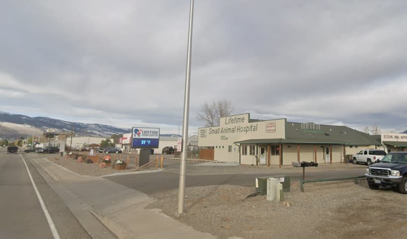 Lifetime Animal Hospital