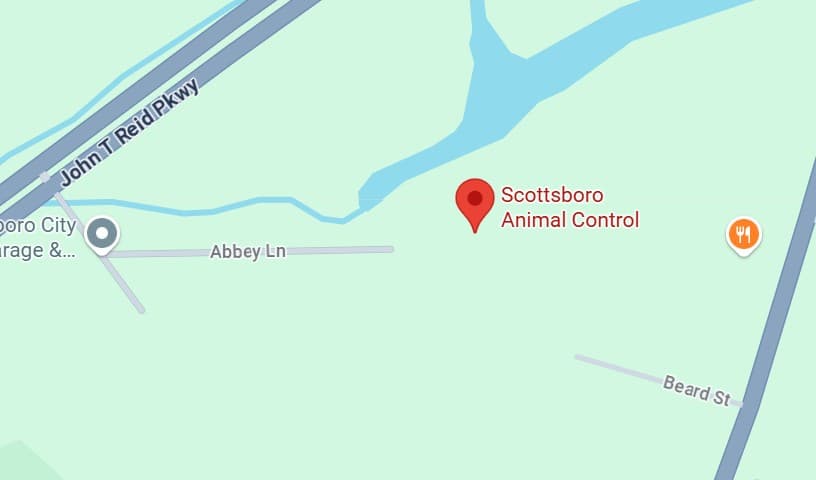 Scottsboro Animal Control