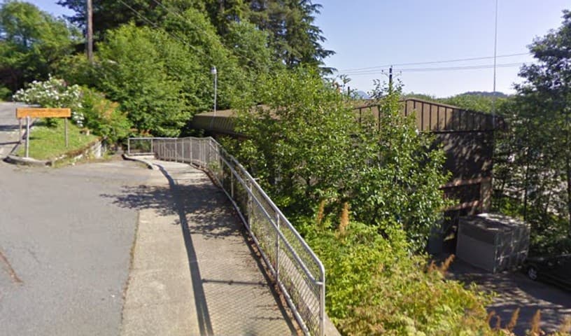 Ketchikan Animal Protection