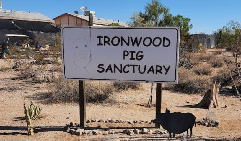 Ironwood Pig Sanctuary