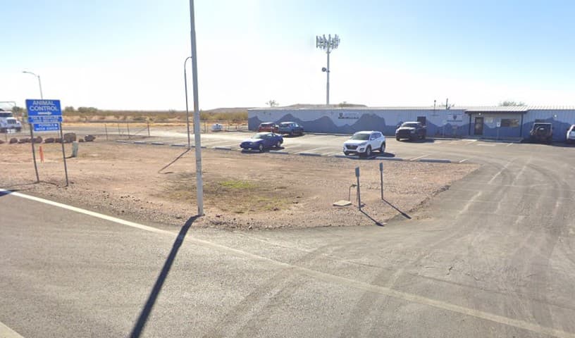 Apache Junction Animal Control