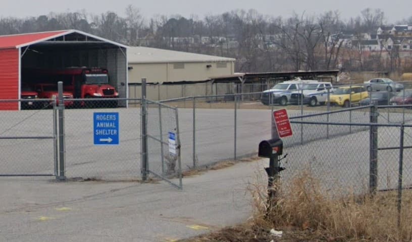 Rogers City Animal Services