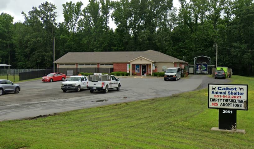 Cabot Animal Support Services