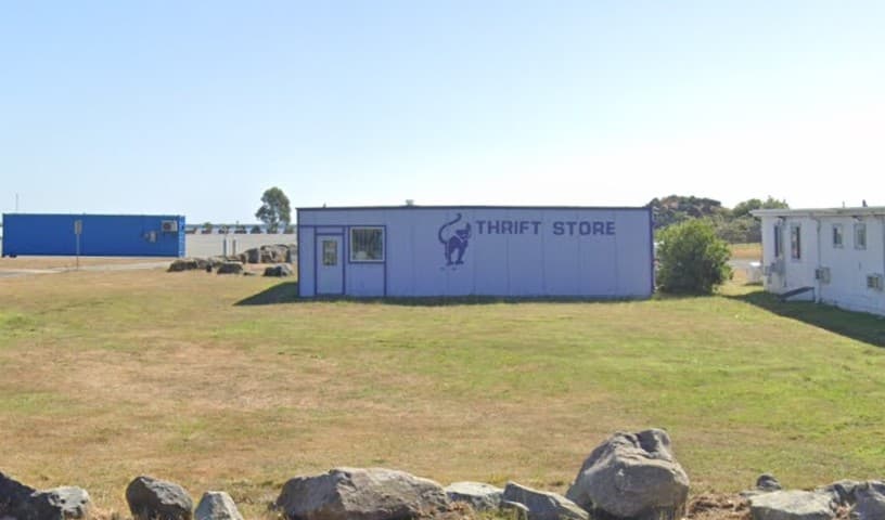 Wild Feline Rescue/Purple Cat Thrift Store