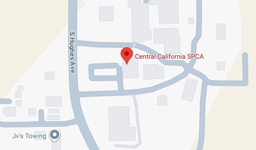 Central California SPCA