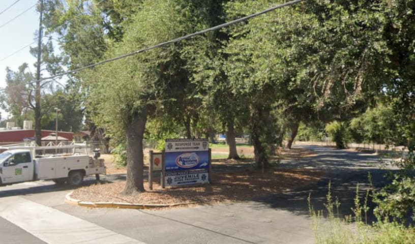 Clovis Animal Receiving & Care Center