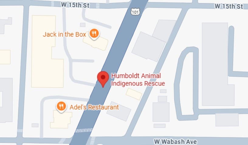 Humboldt Animal Indigenous Rescue