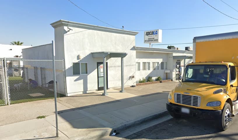 spcaLA South Bay Pet Adoption Center