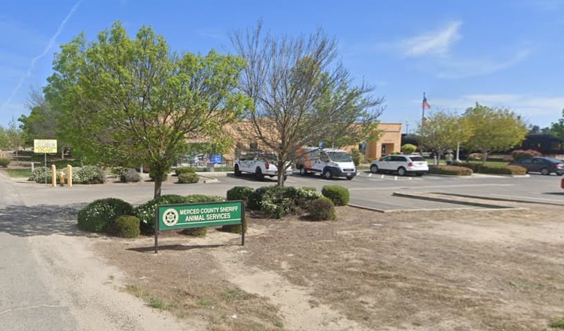 Merced County Animal Control