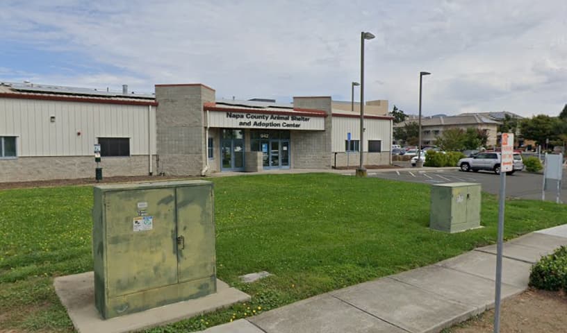 Napa County Animal Shelter