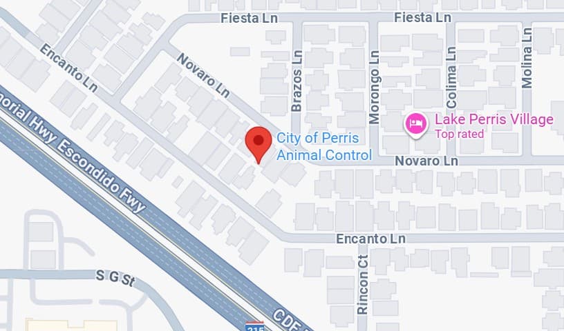 Perris Animal Control