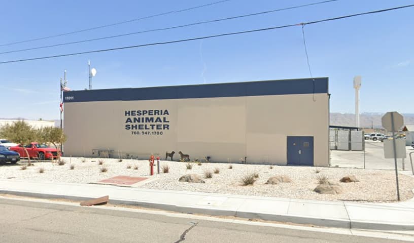 Hesperia Animal Control