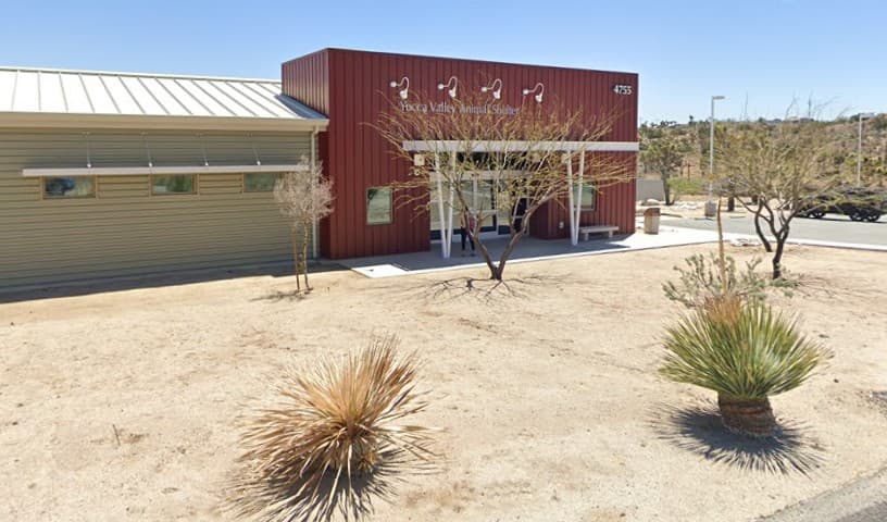 Yucca Valley Animal Control