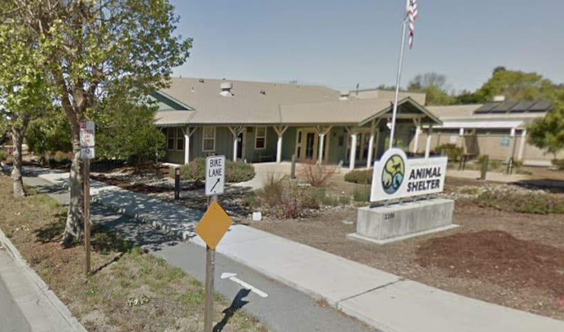 Santa Cruz Animal Shelter