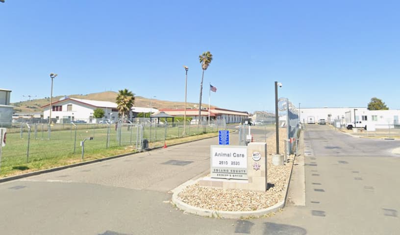 Solano County Animal Care