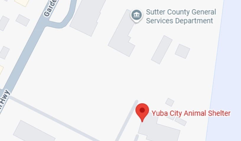 Yuba City Animal Shelter