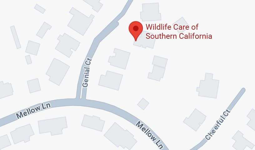 Wildlife Care of Southern California
