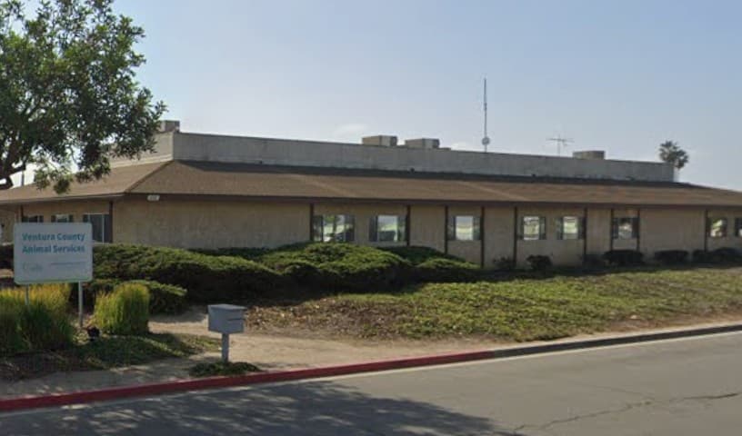 Ventura County Animal Services