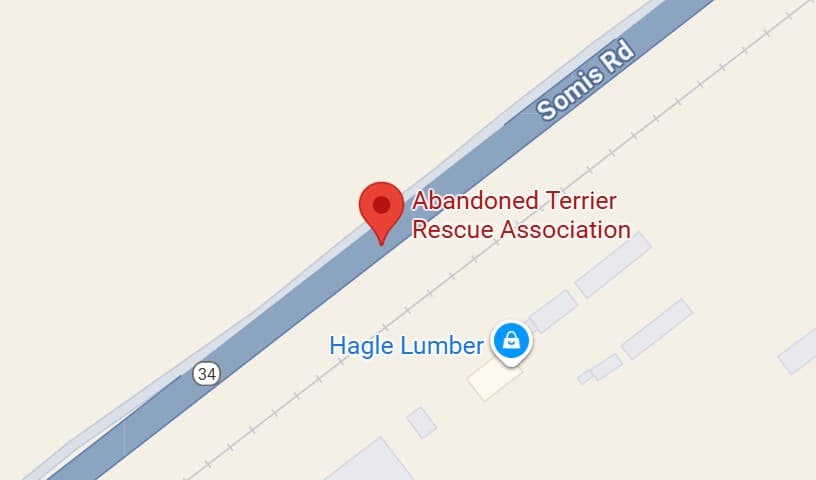Abandoned Terrier Rescue Association
