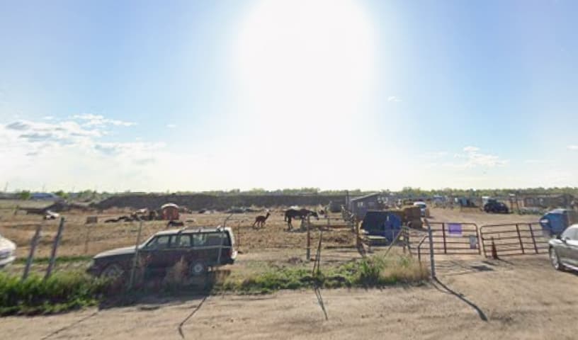 Broken Shovels Farm Sanctuary