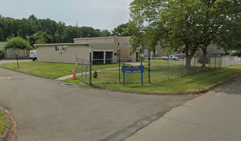 East Haven Animal Control