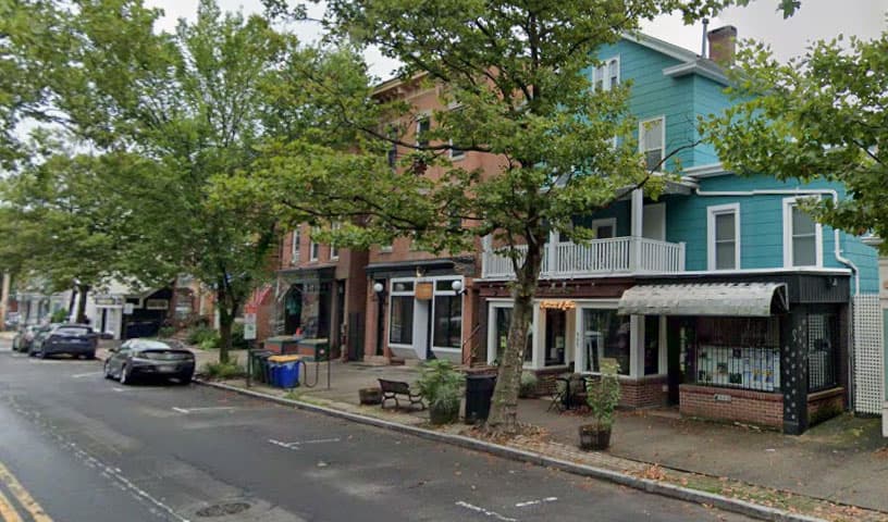 Greater New Haven Cat Project