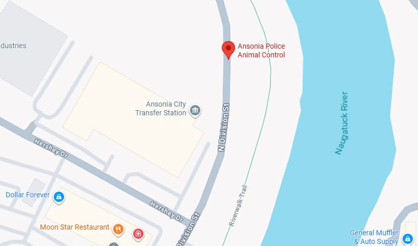 Ansonia Police Animal Control