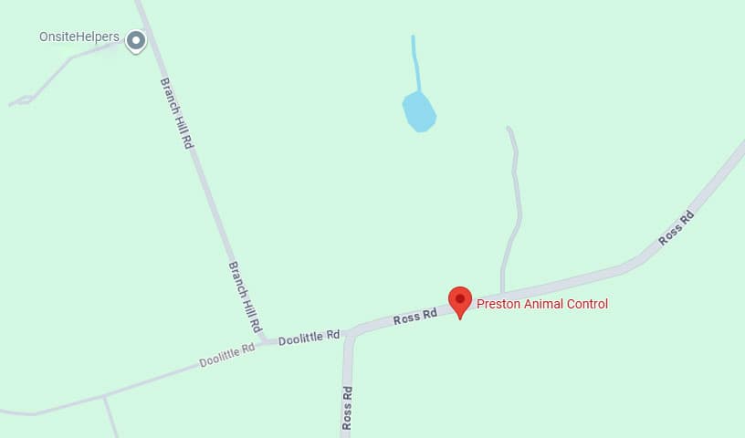 Preston Animal Control