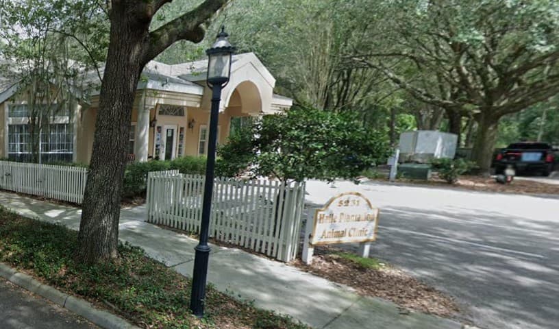 Haile Plantation Animal Clinic