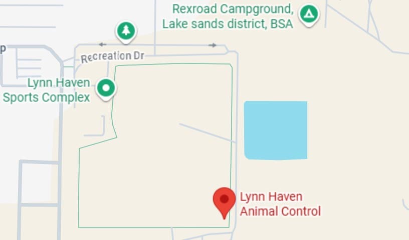 Lynn Haven Animal Control