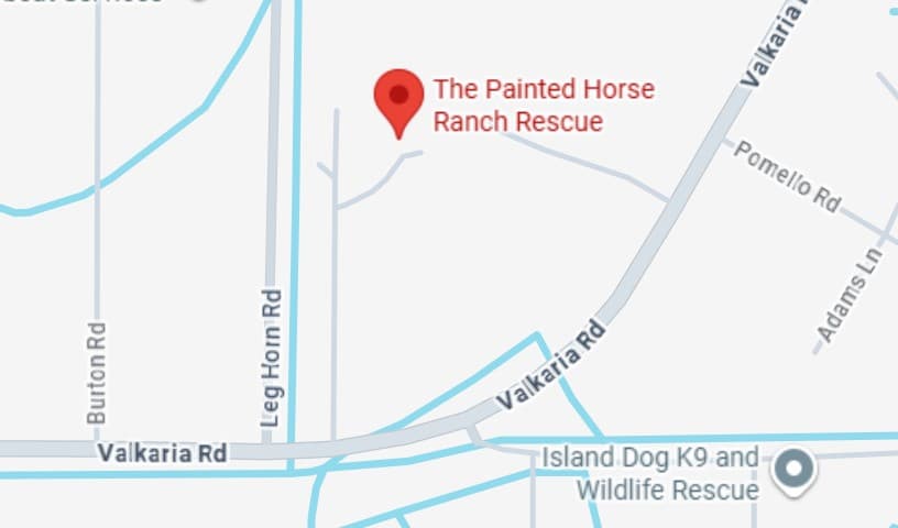 The Painted Horse Ranch Rescue