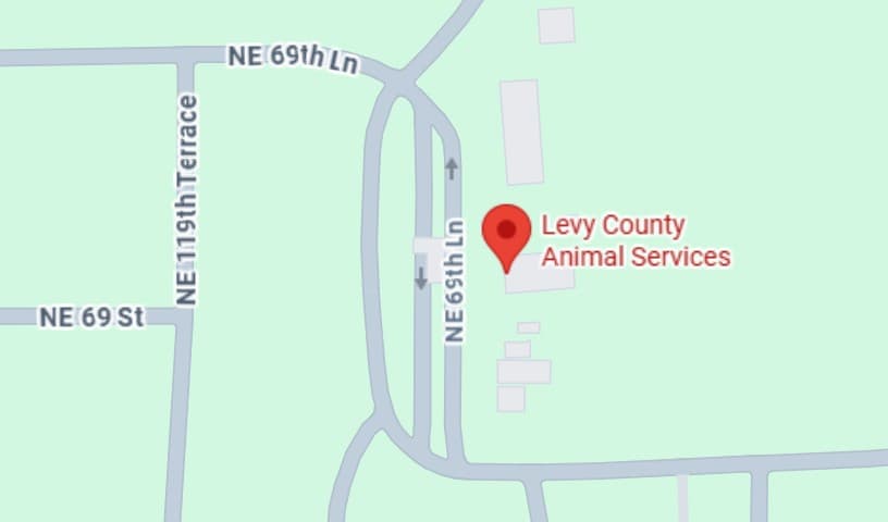 Levy County Animal Services