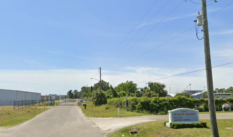 Nassau Humane Society