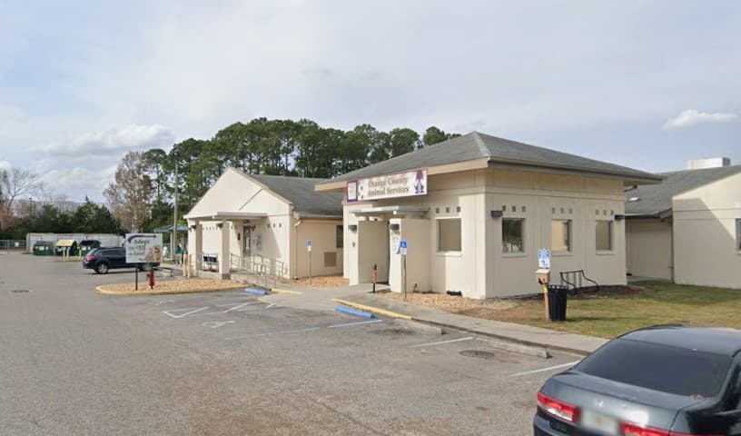 Orange County Animal Services