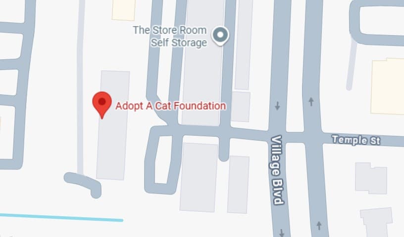 Adopt A Cat Foundation