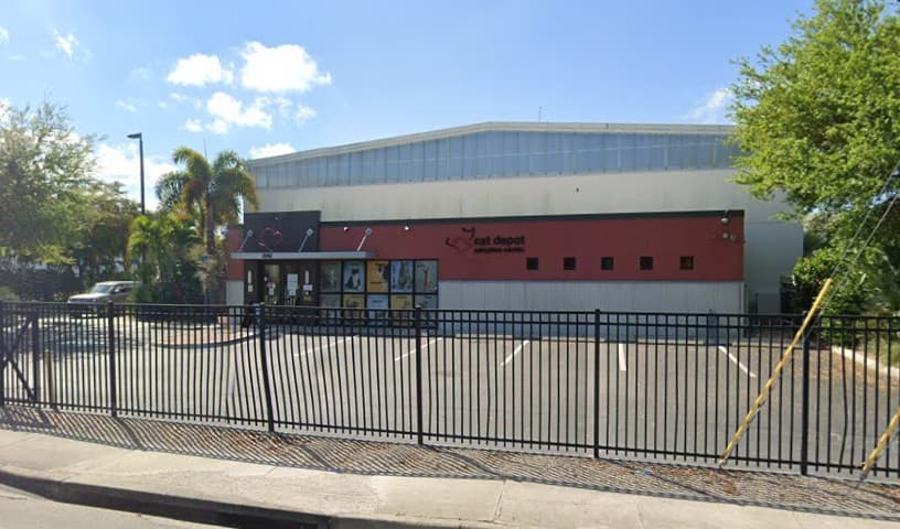 Cat Depot