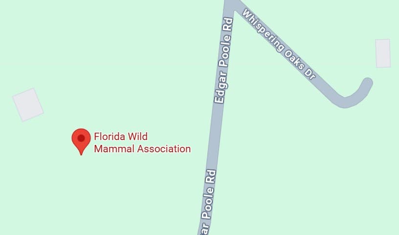 Florida Wild Mammal Association