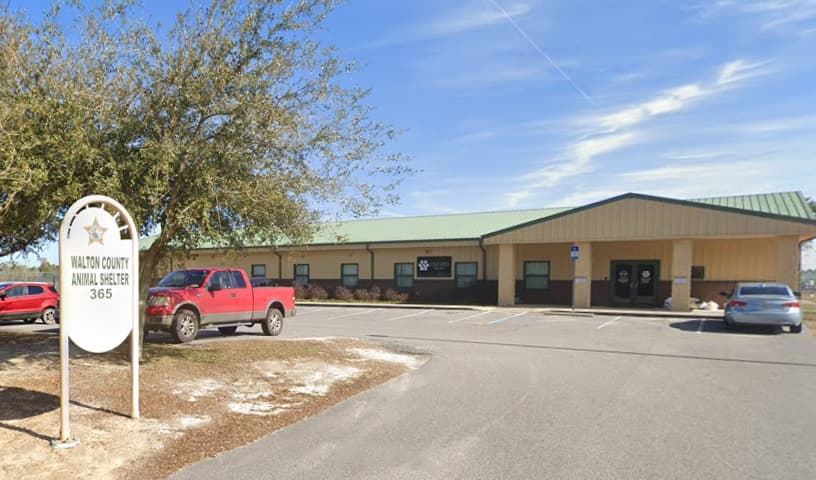 Walton County Animal Shelter