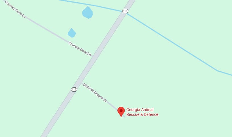 Georgia Animal Rescue & Defence, Inc