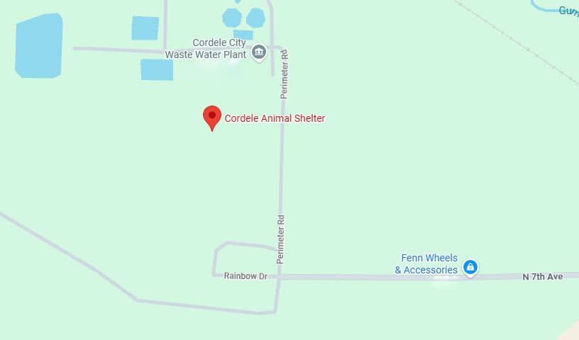 Cordele Animal Shelter