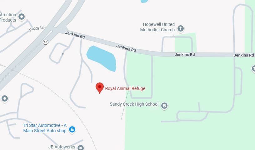 Royal Animal Refuge