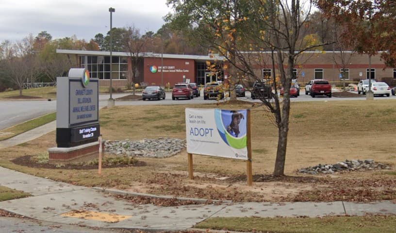 Gwinnett County Animal Welfare & Enforcement