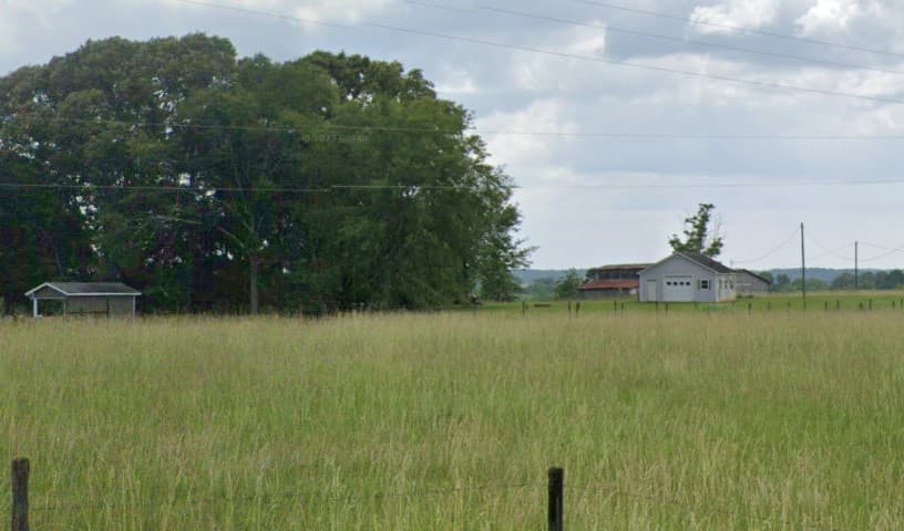 Thistle Creek Kennel
