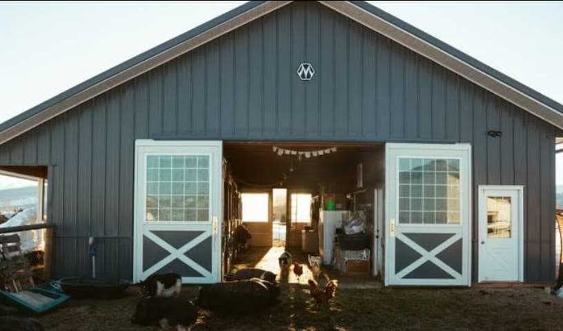 Aska's Animals Foundation