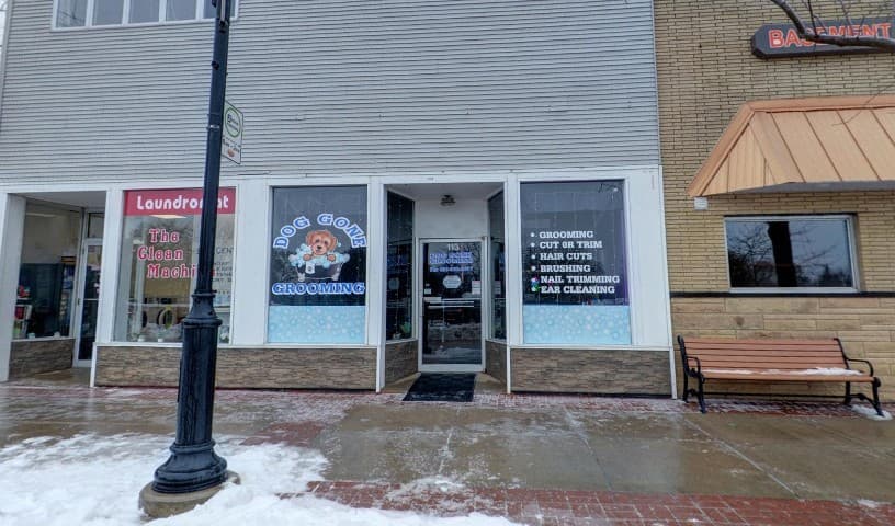 Dog Gone Grooming LLC