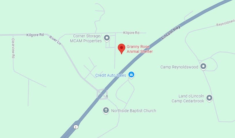 Granny Rose Animal Shelter