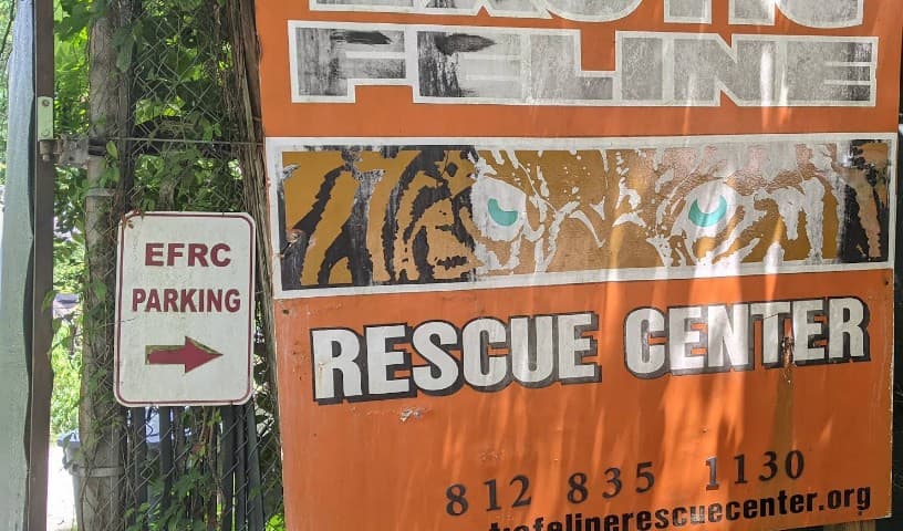 Exotic Feline Rescue Center