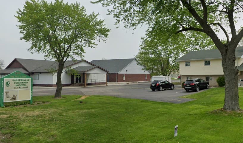 Johnson County Community Cats