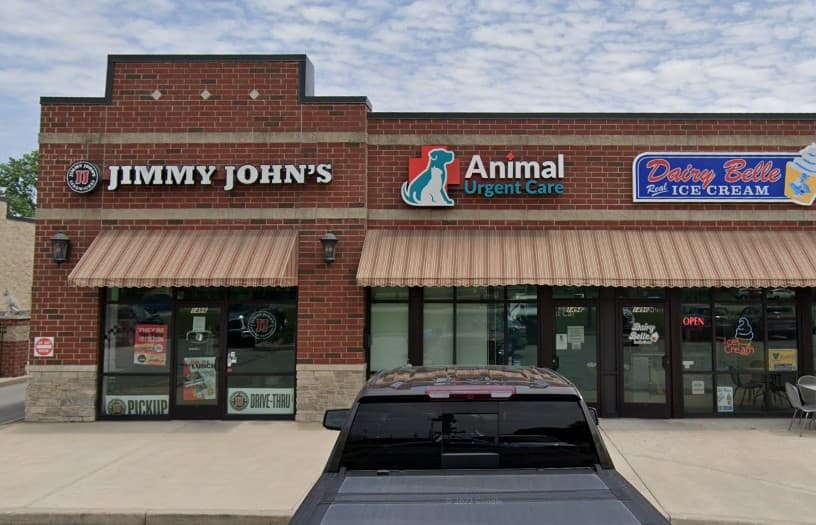 Animal Urgent Care