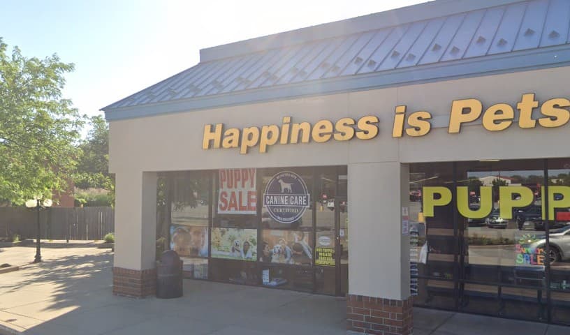 Happiness is Pets